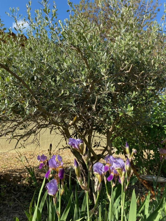 L'Eveil En Provence Bed & Breakfast Entrecasteaux ภายนอก รูปภาพ